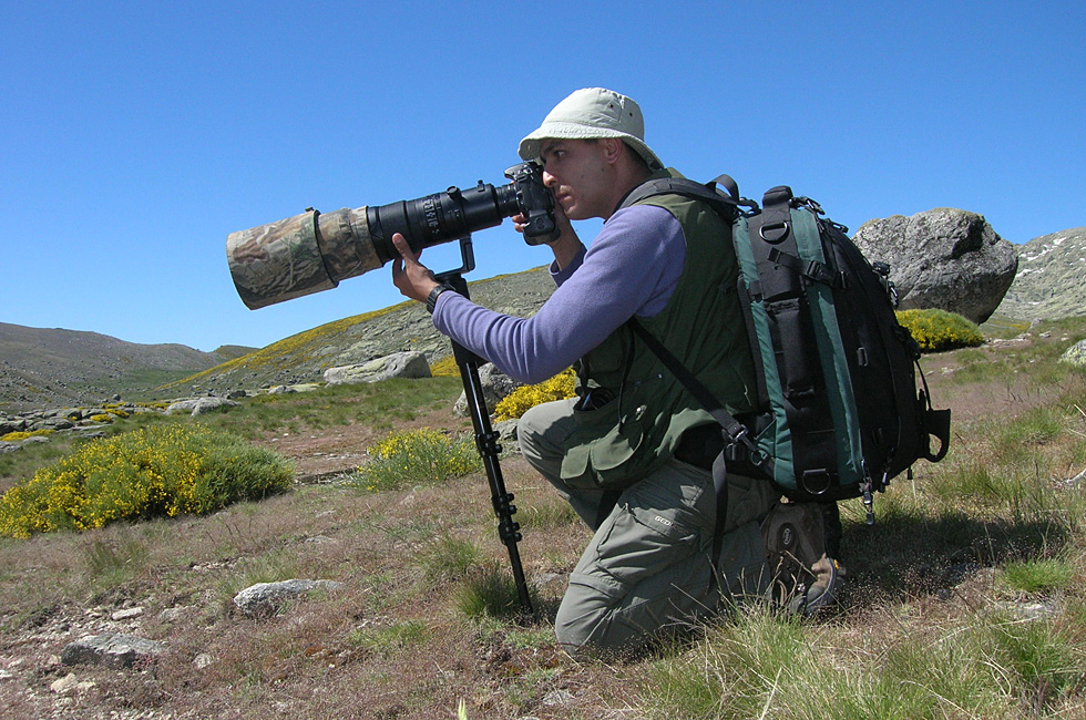 Fotografiando aves alpinas